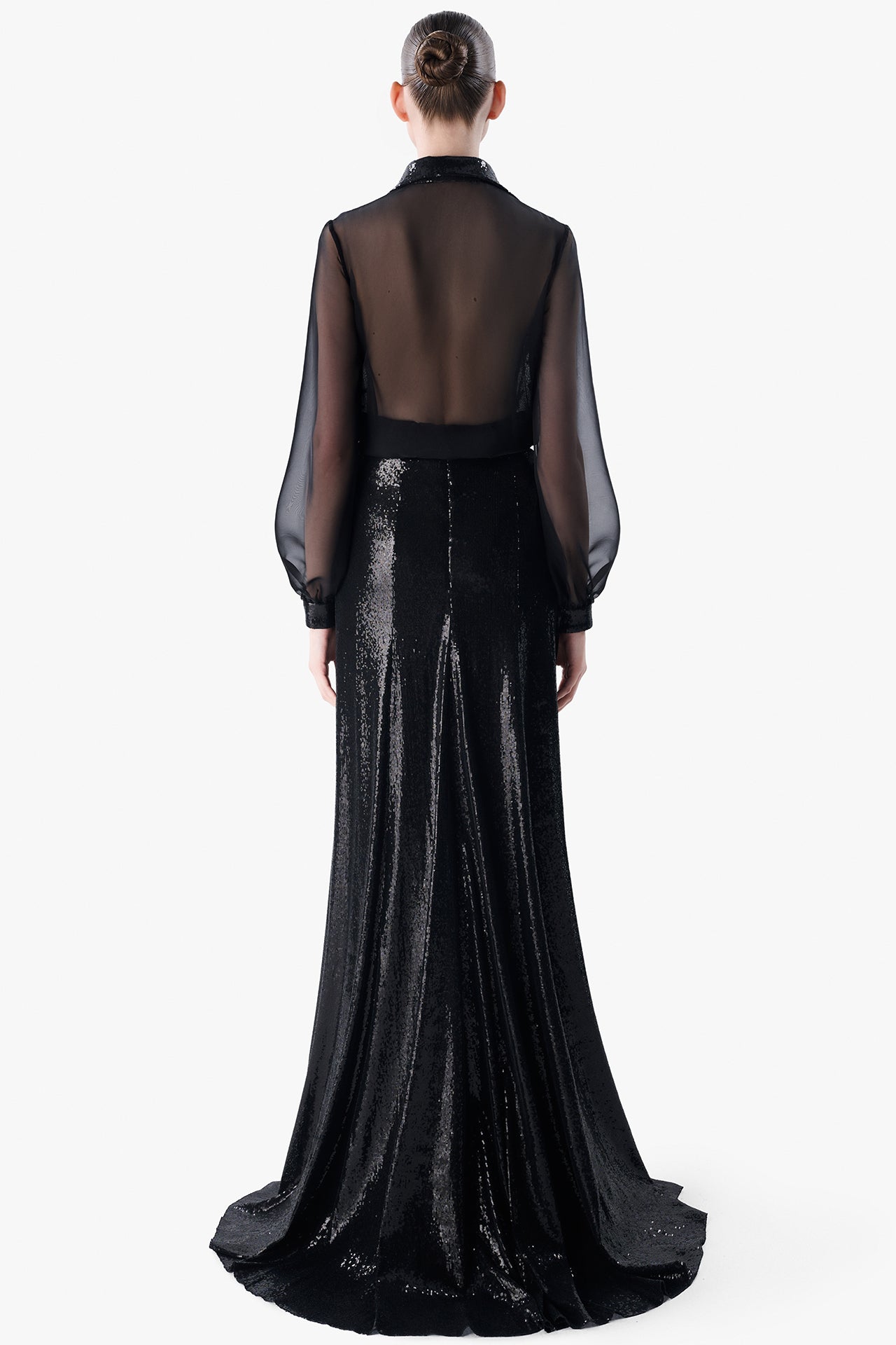 Sheer Sleeve Blouse with Sequined Skirt