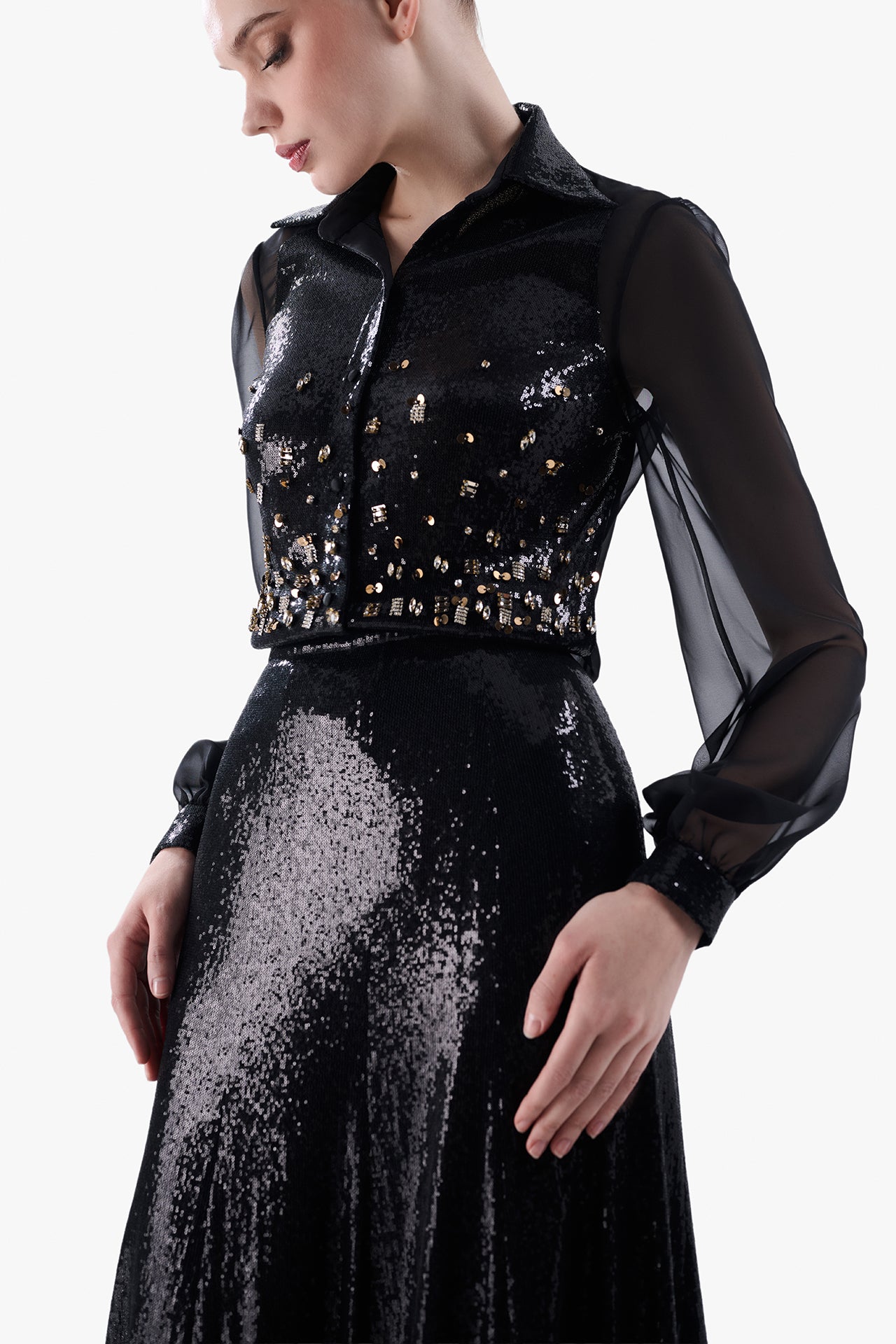 Sheer Sleeve Blouse with Sequined Skirt