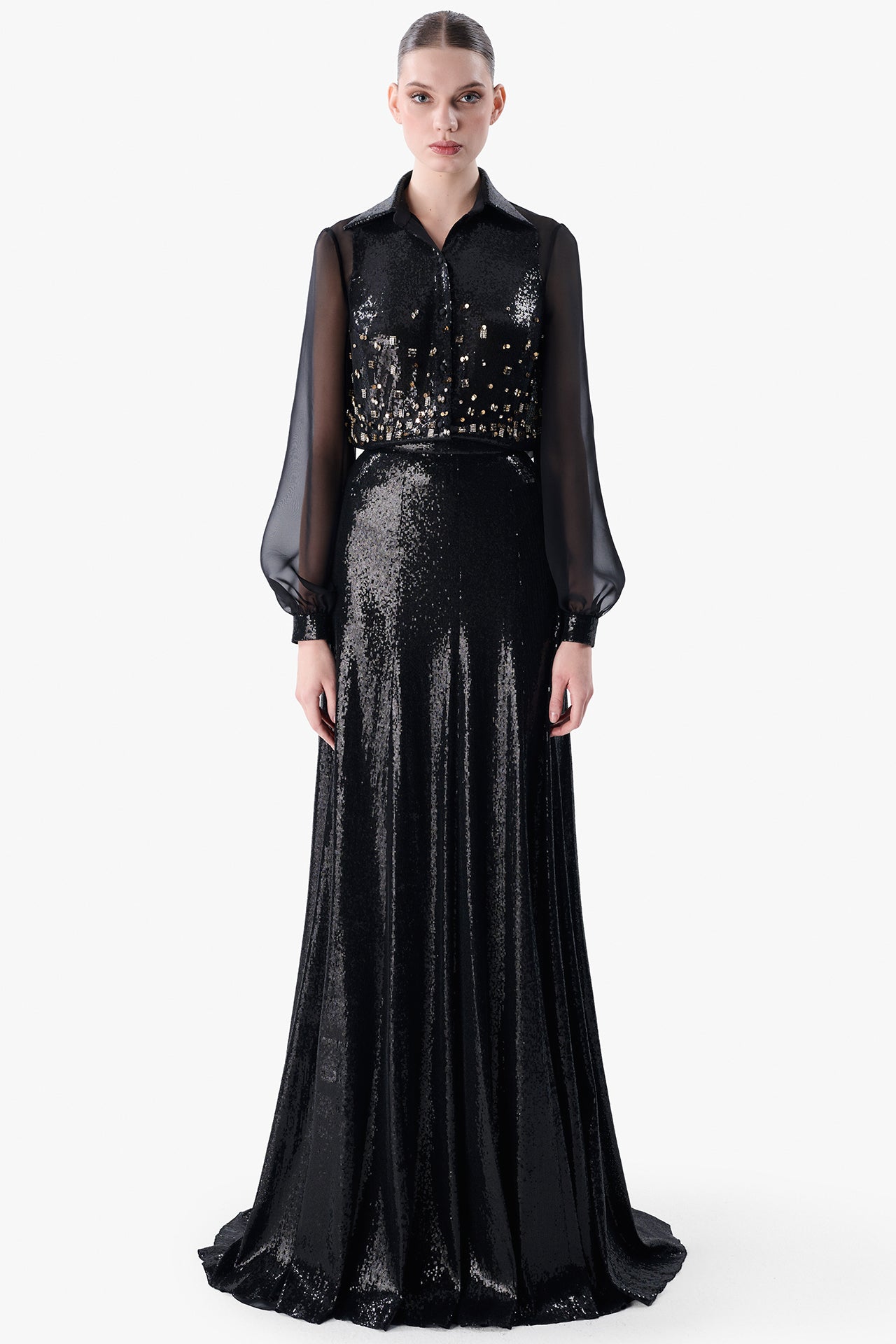 Sheer Sleeve Blouse with Sequined Skirt