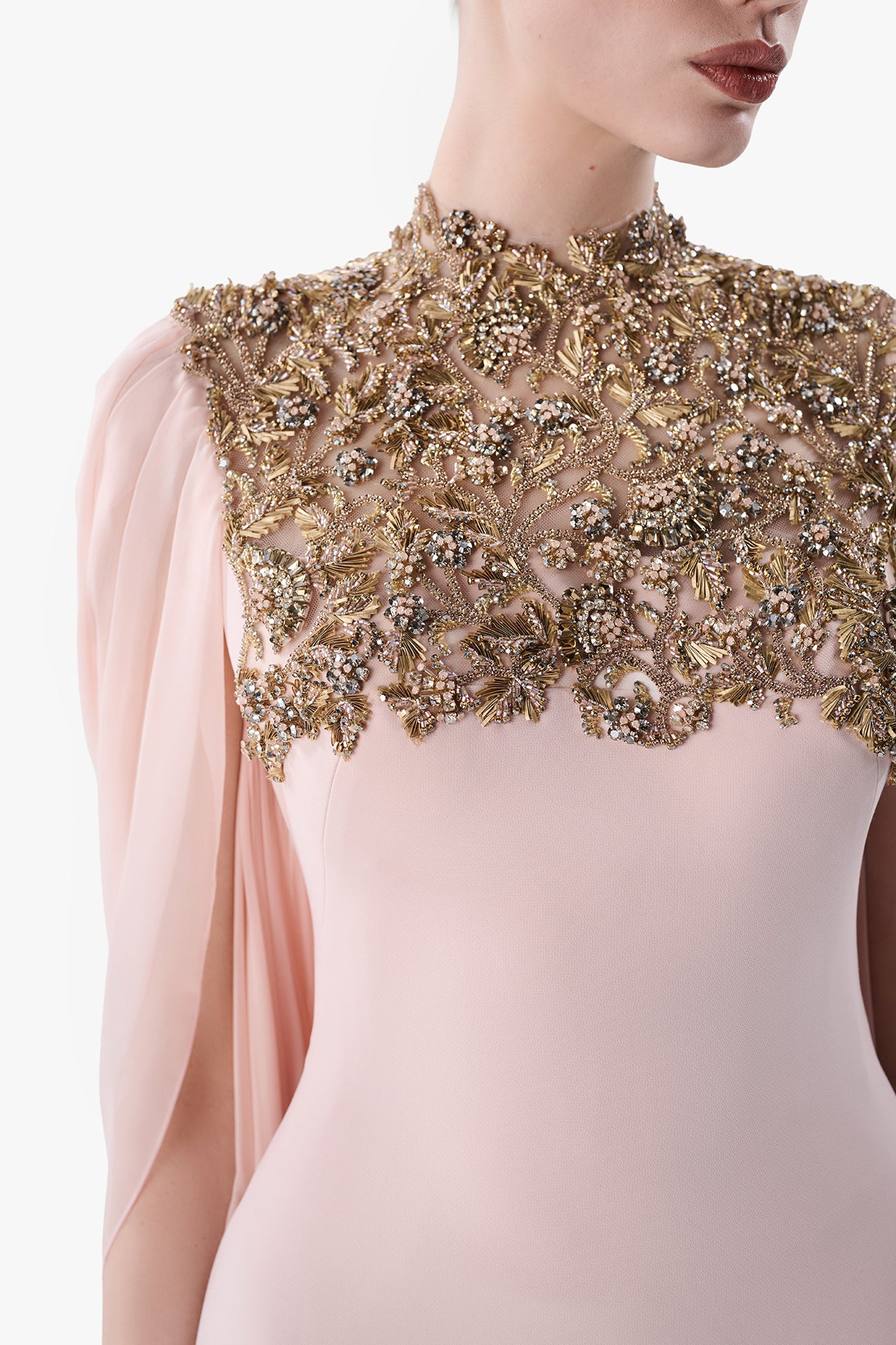 Embroidered High Neck Gown with Draped Chiffon Back