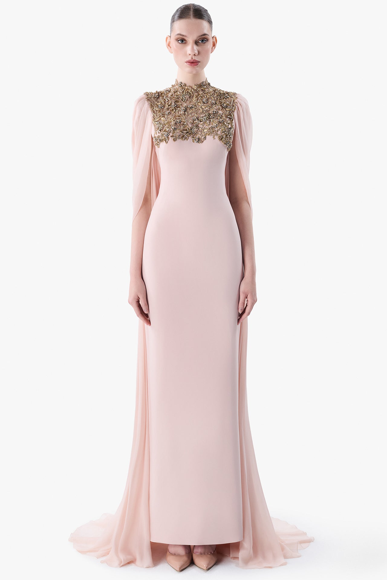 Embroidered High Neck Gown with Draped Chiffon Back