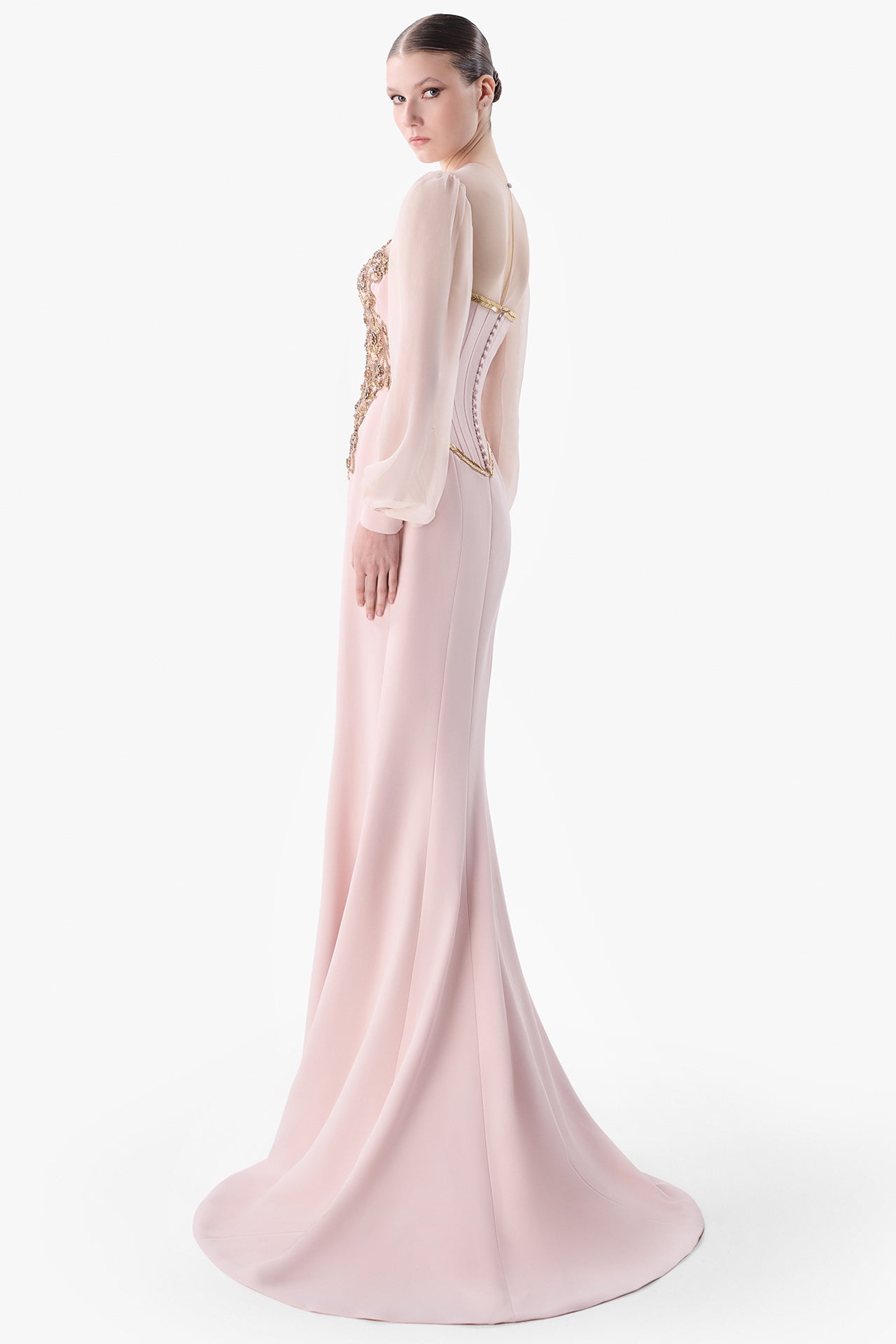 Embroidered Bodice Gown with Sheer Sleeves