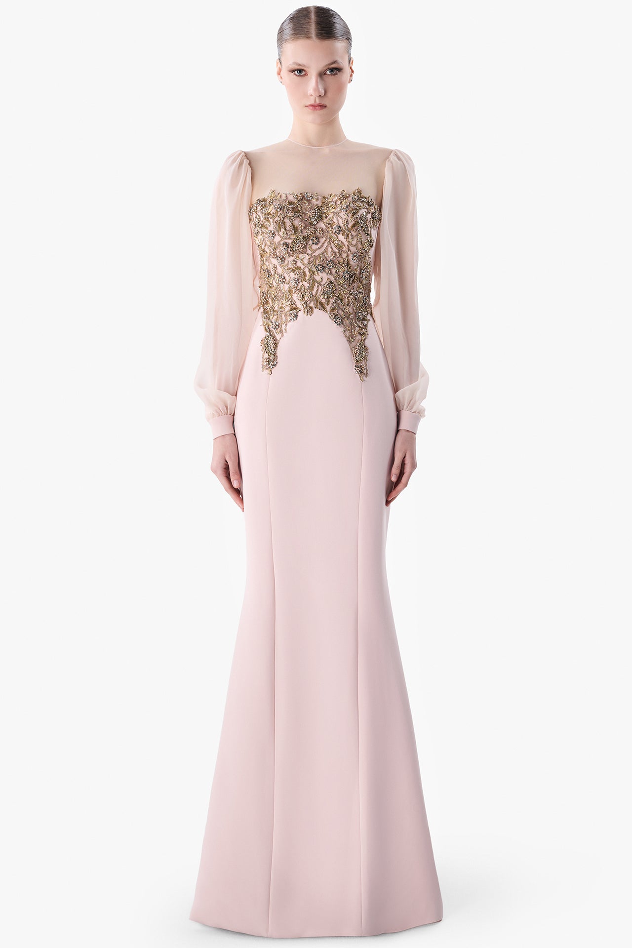 Embroidered Bodice Gown with Sheer Sleeves