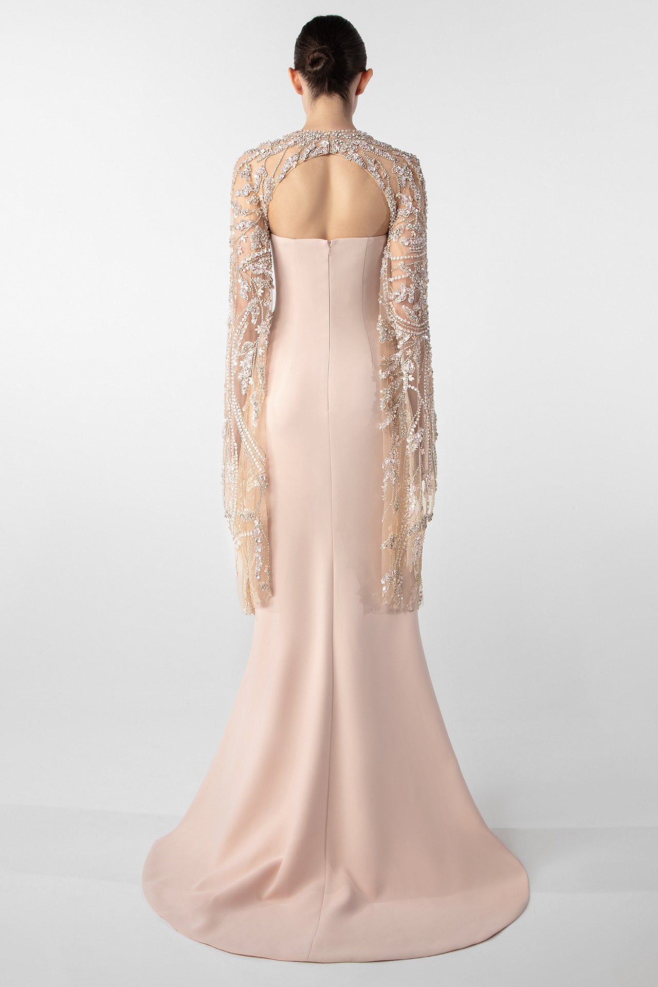 Embroidered Sheer Sleeve Column Gown