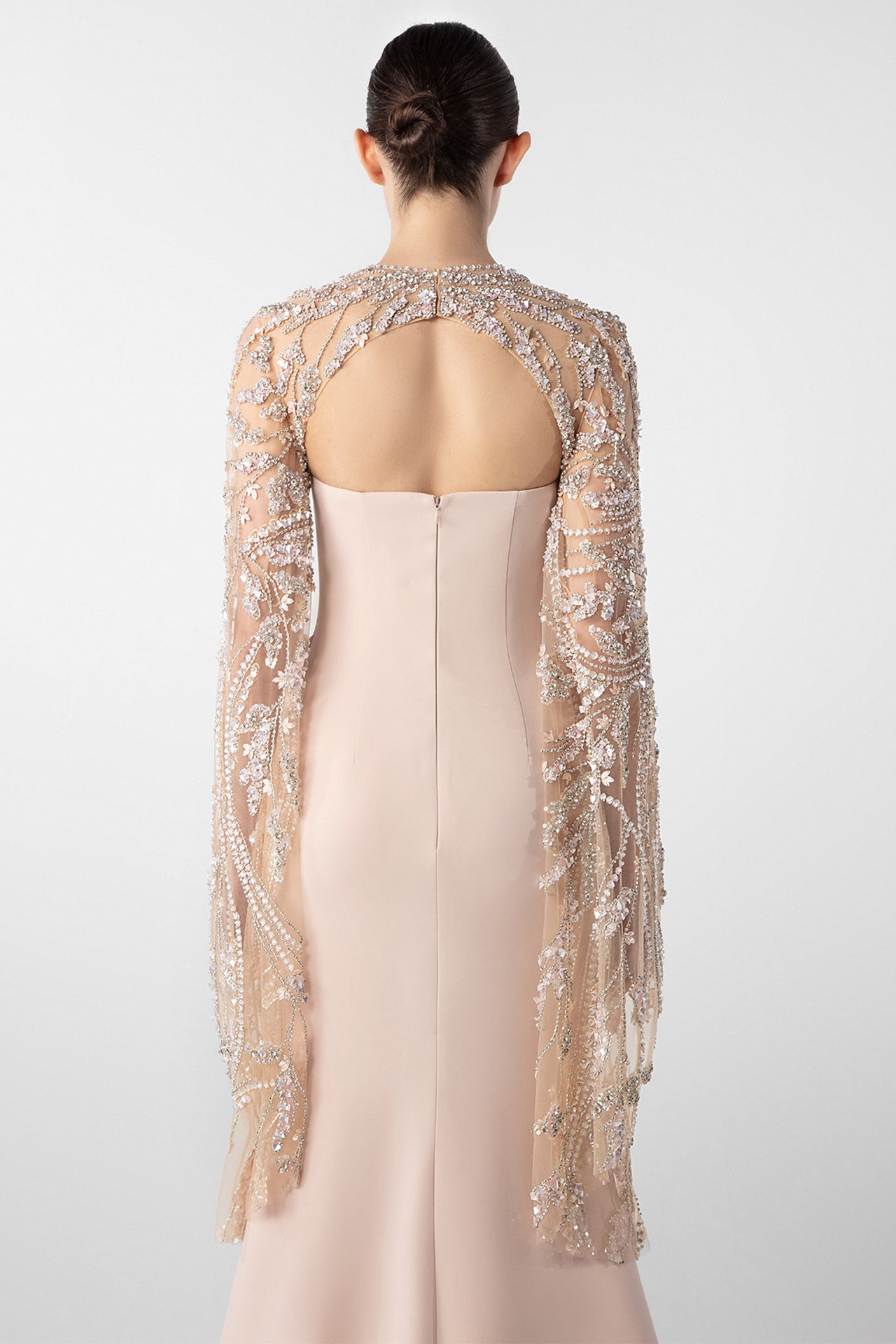 Embroidered Sheer Sleeve Column Gown