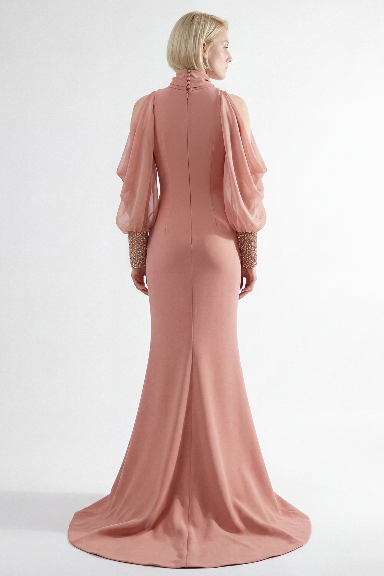 Draped Sleeve Embellished Bodice Gown