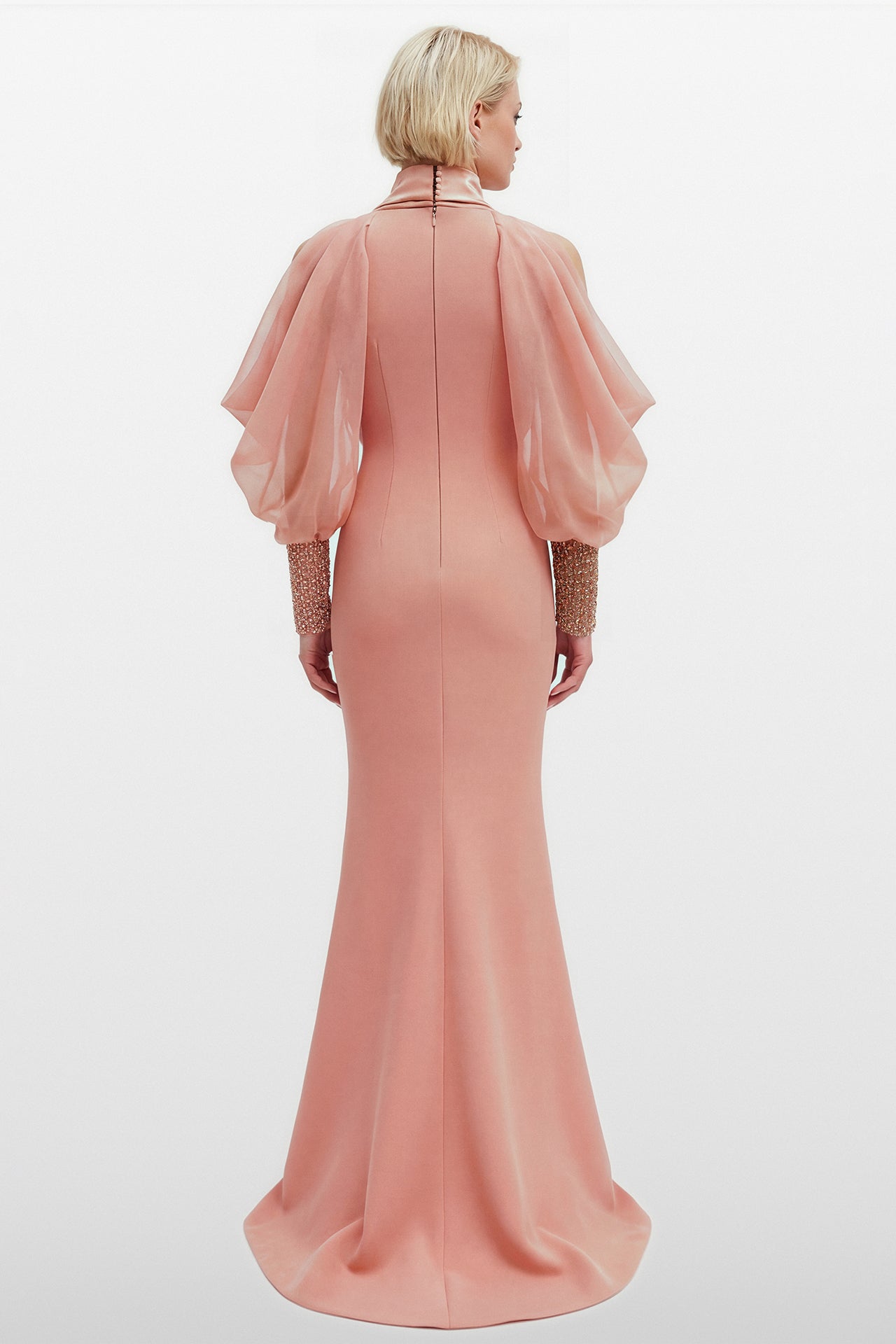 Draped Sleeve Embellished Bodice Gown