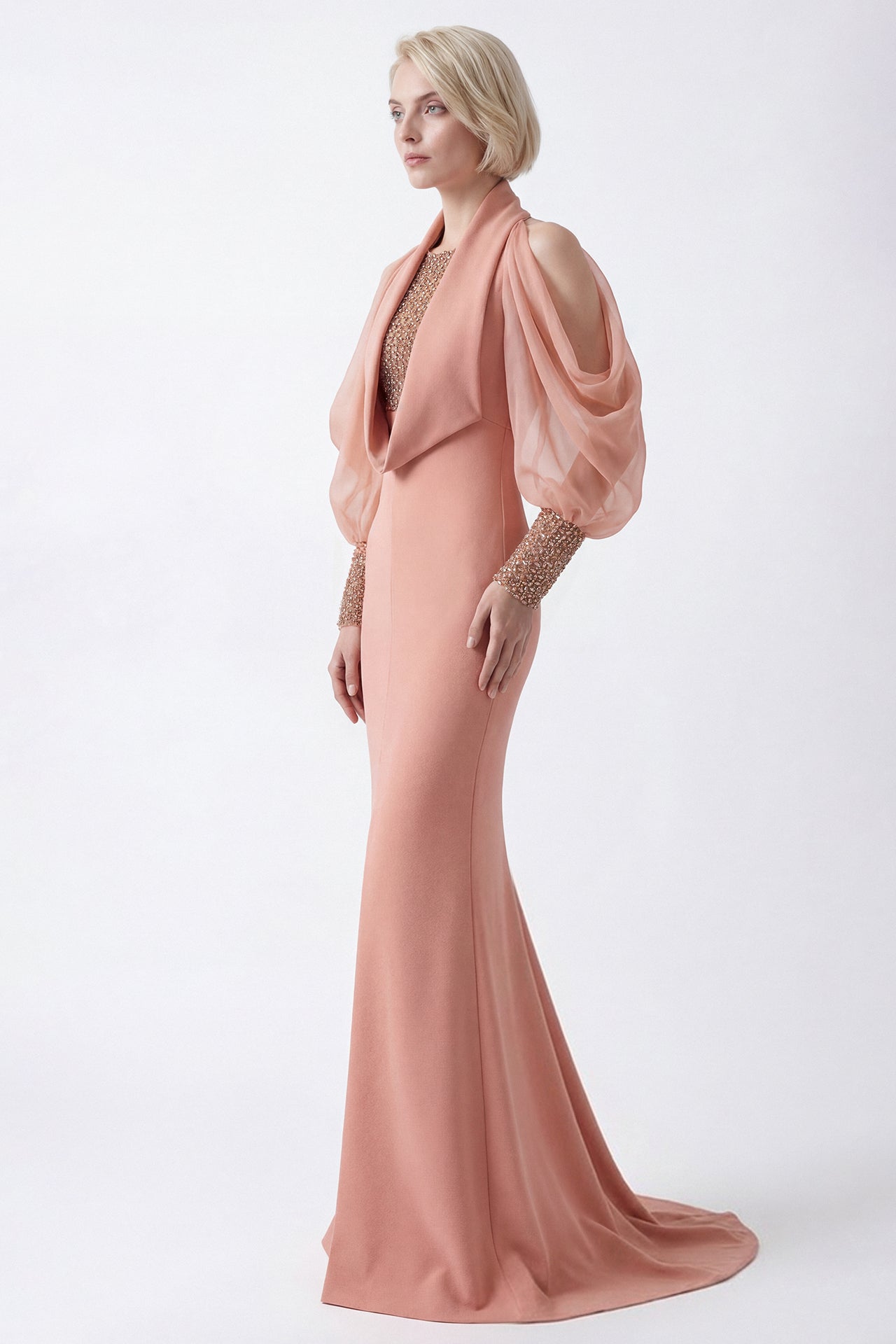 Draped Sleeve Embellished Bodice Gown