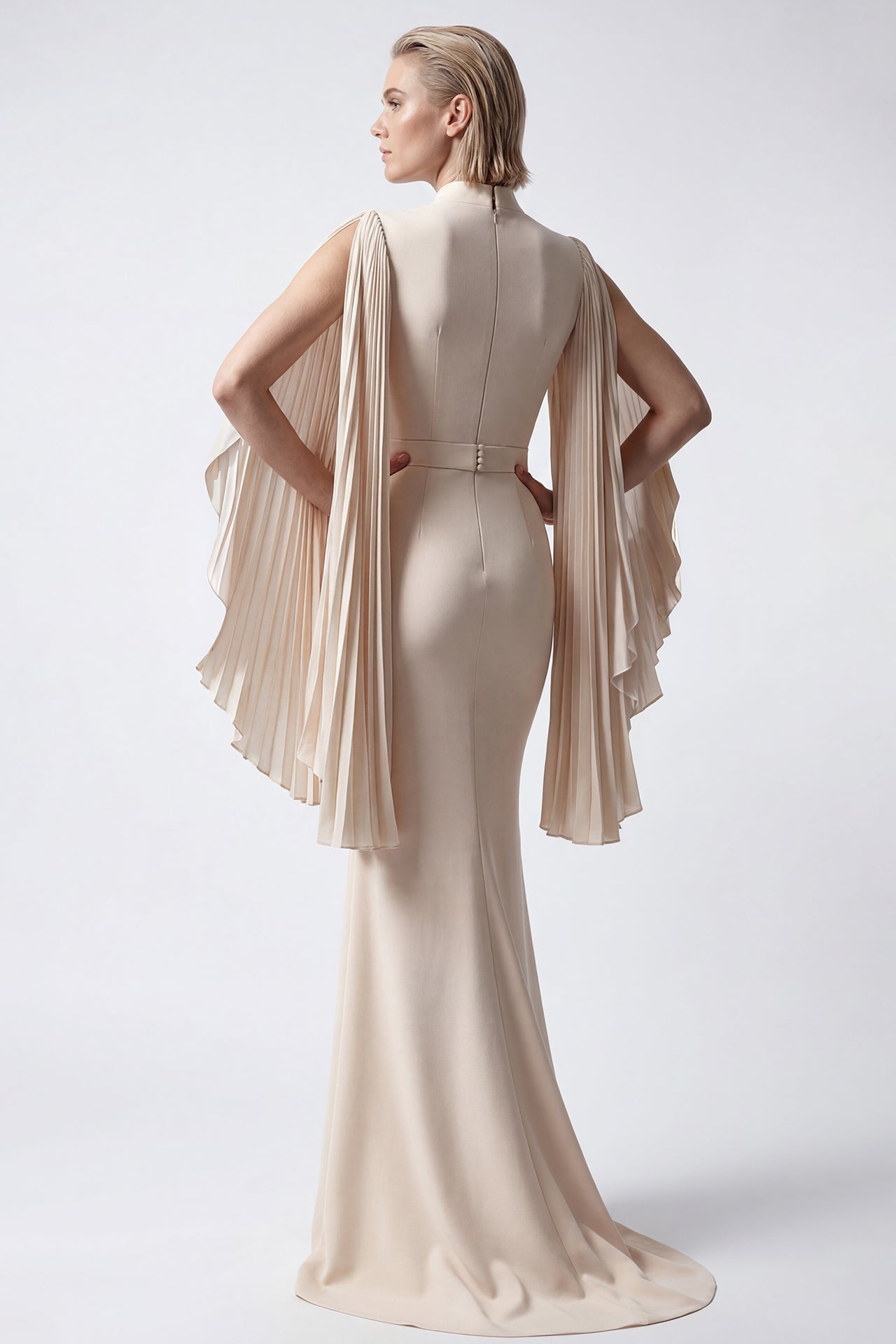 Pleated Sleeve Crepe Gown